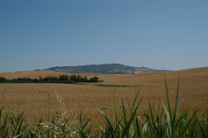 BIBBONA CAMPAGNA